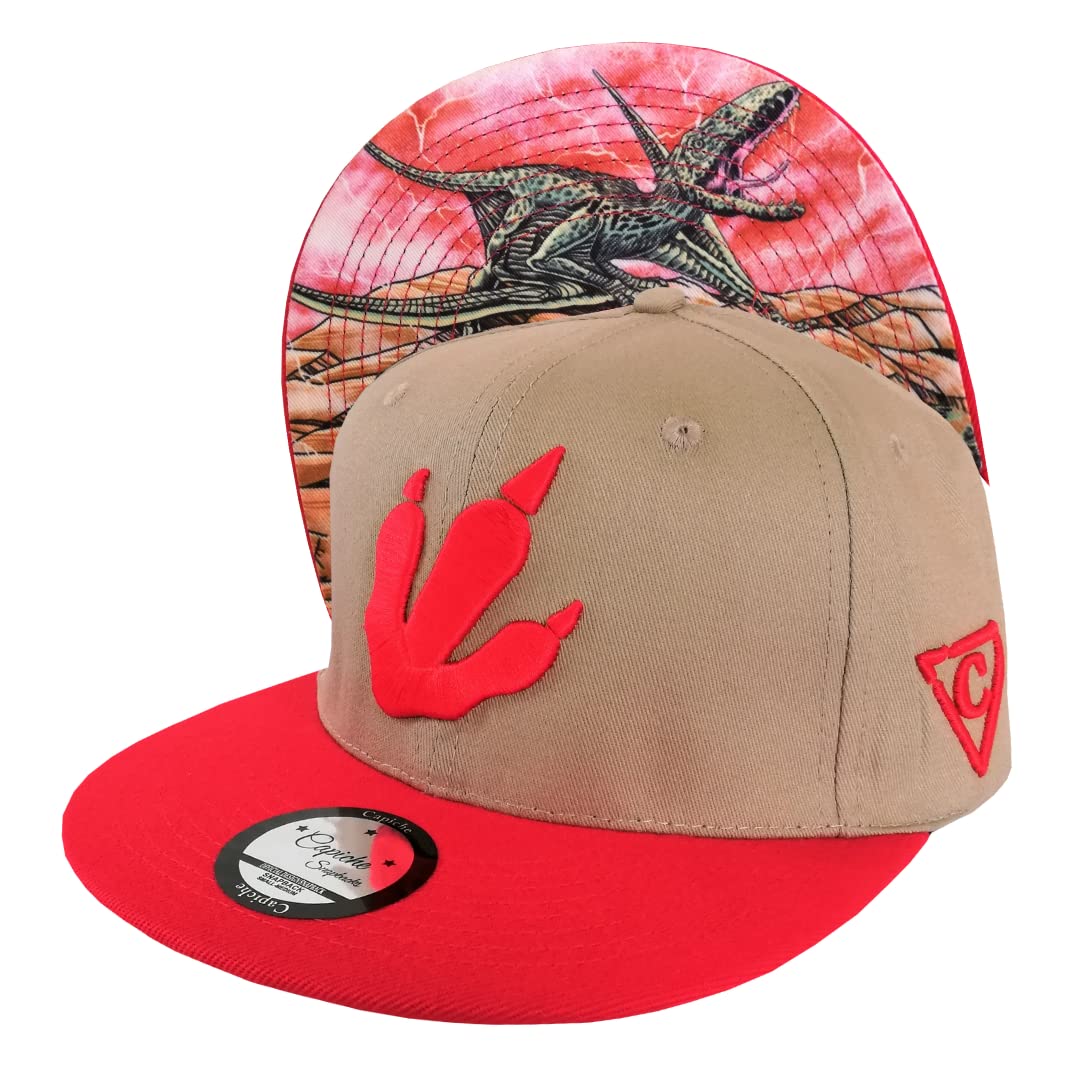 Capiche [99+ Variations] Special Series Snapback Cap - One Size Unisex Men