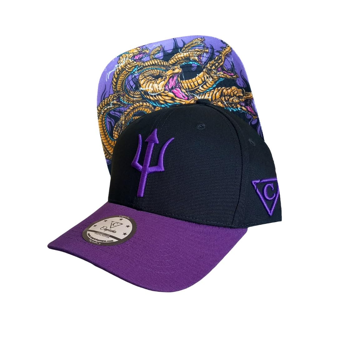 Capiche [99+ Variations] Special Series Snapback Cap - One Size Unisex Men