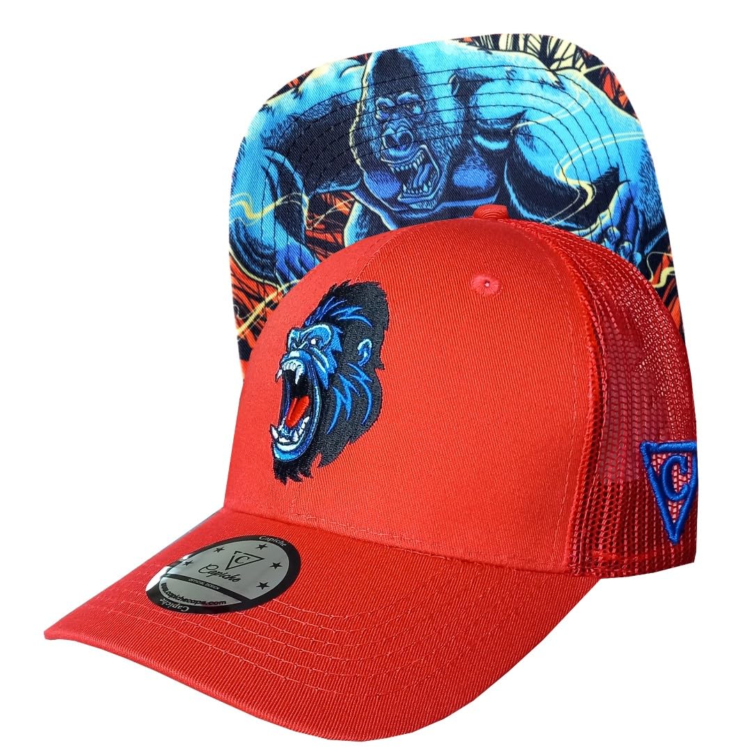 Capiche [99+ Variations] Special Series Snapback Cap - One Size Unisex Men